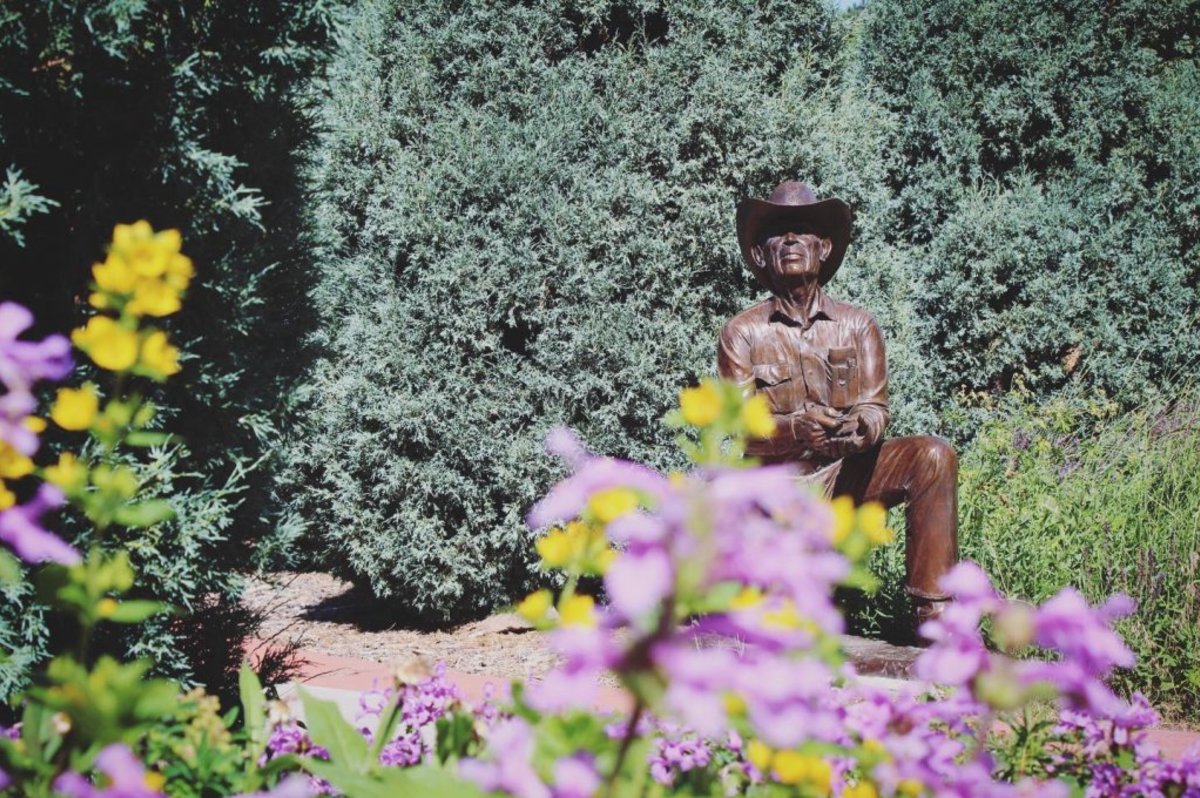 A metal statue of a kneeling man wearing a cowboy hat beside a tall garden wall in the background and group of purple flowers in the foreground at the Cheyenne Botanic Gardens.