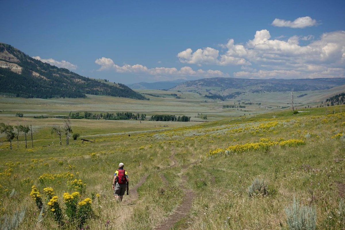yellowstone hidden gems - Lamar River Hike to Cache Creek