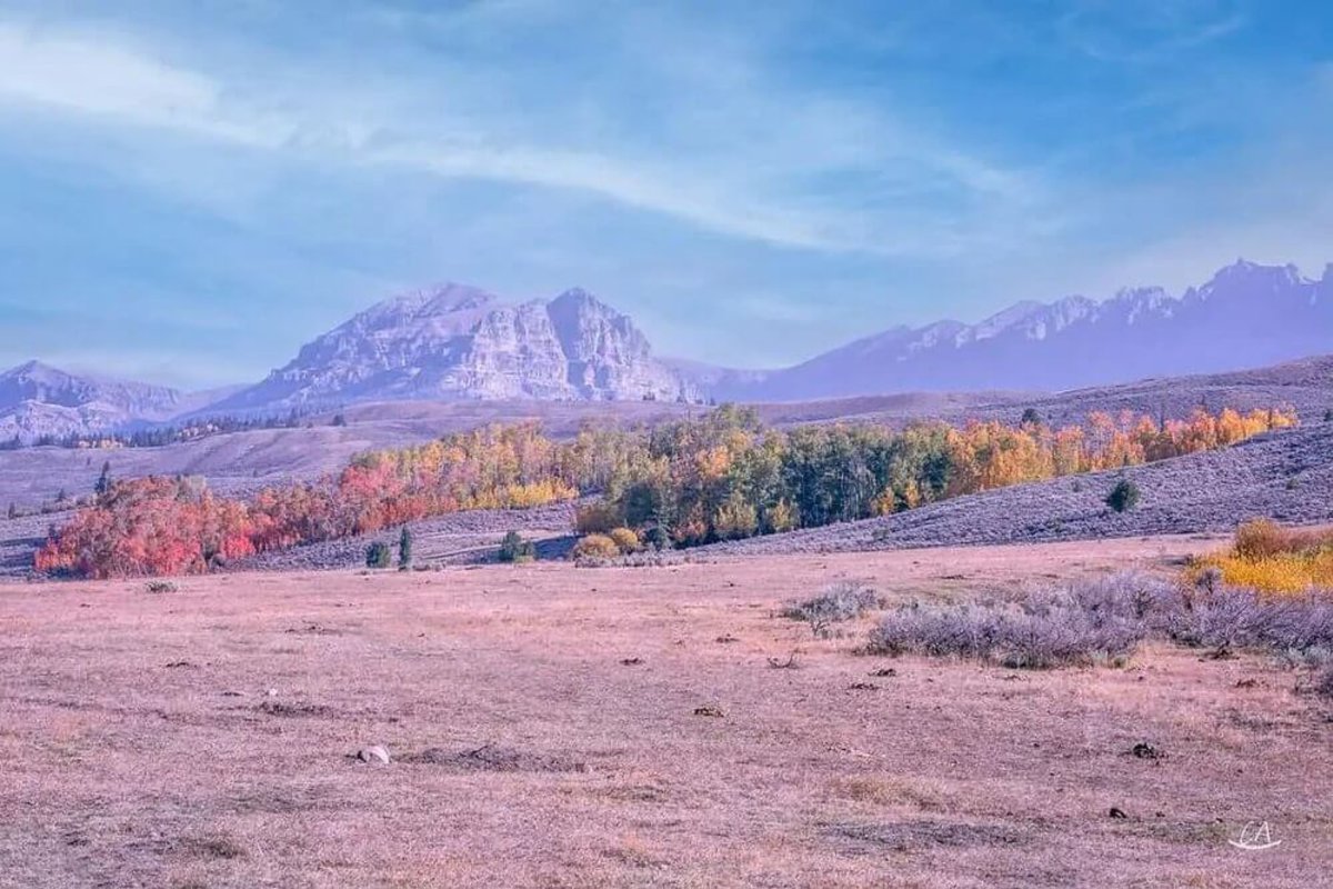 Absaroka Ranch