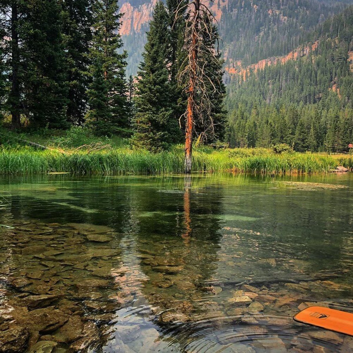 Flat Creek Ranch