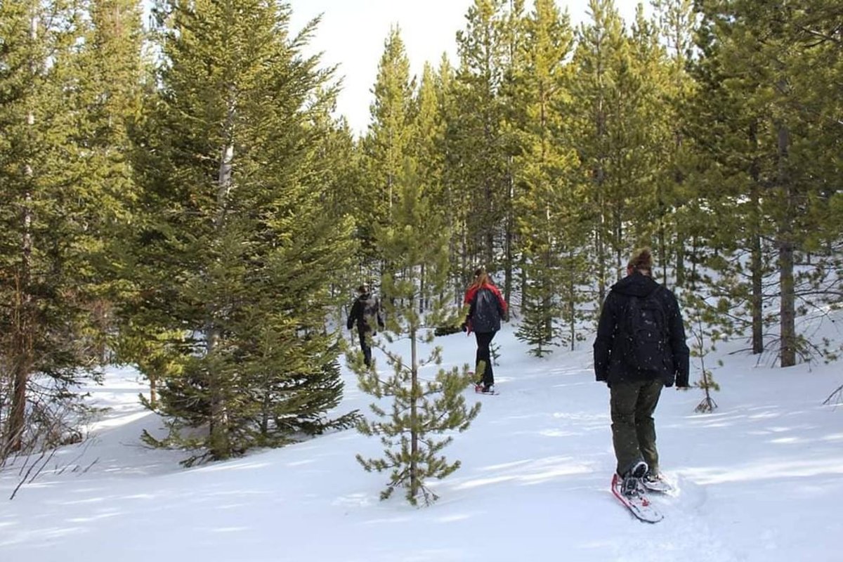 snowy range skiing