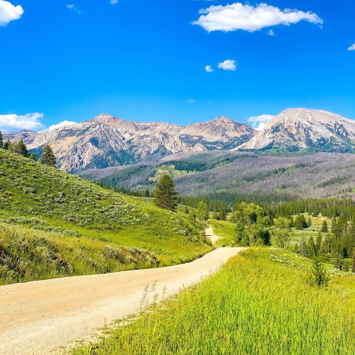 Green landscape with mountains in the background in Jackson, a city that offers campgrounds
