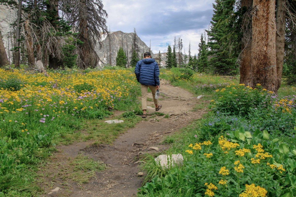 Hiker walking in the Snowy Range Forest.