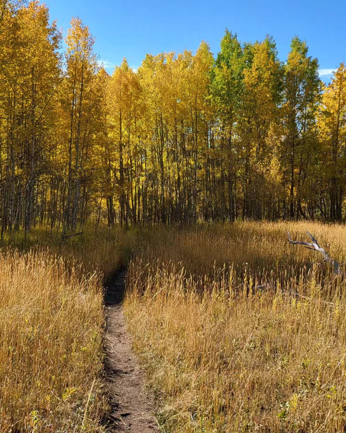 Hiking Medicine Bow National Forest near Saratoga