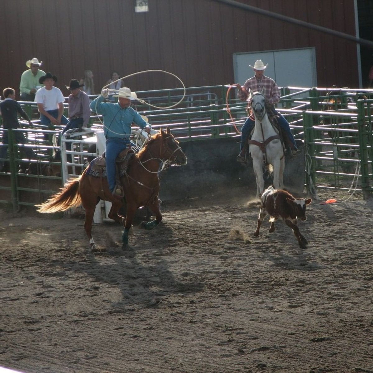 Jackson Hole Rodeo