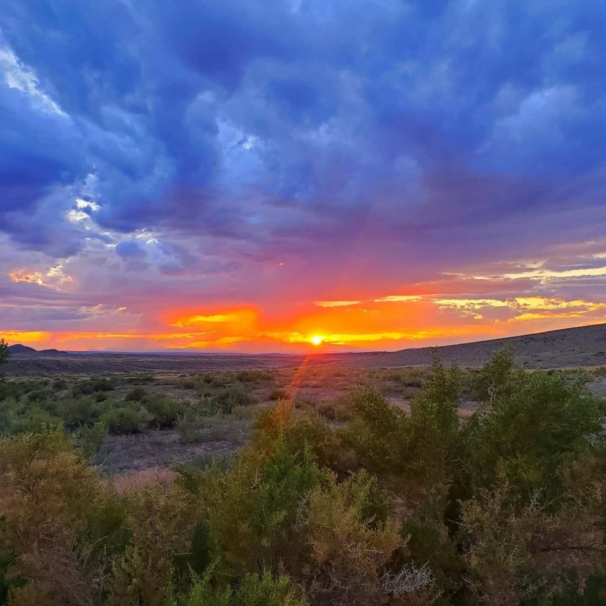 sunset among shrubbery at Red Gulch/Alkali Scenic Backway in Wyoming
