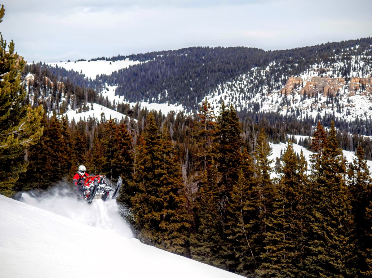 Snowmobiler riding through the Bighorn Mountains.