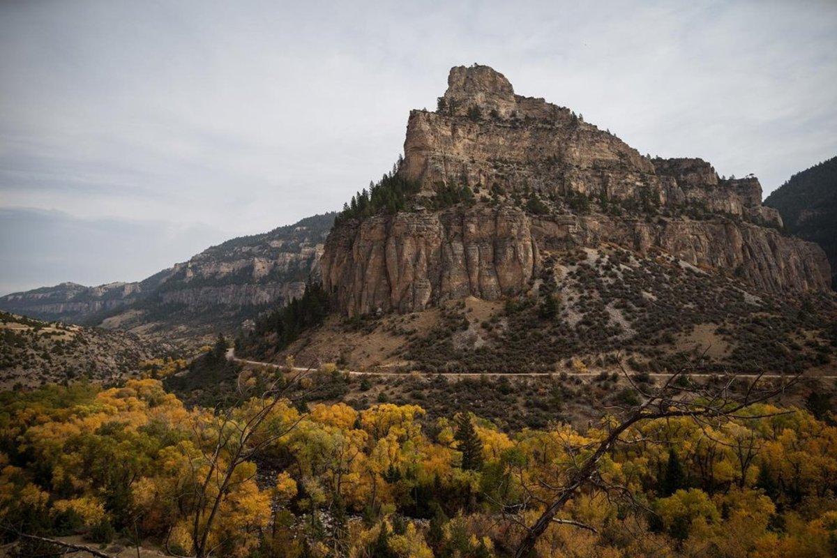 Fall colored shrubbery with rocky mountains along Cloud Peak Skyway in Wyoming