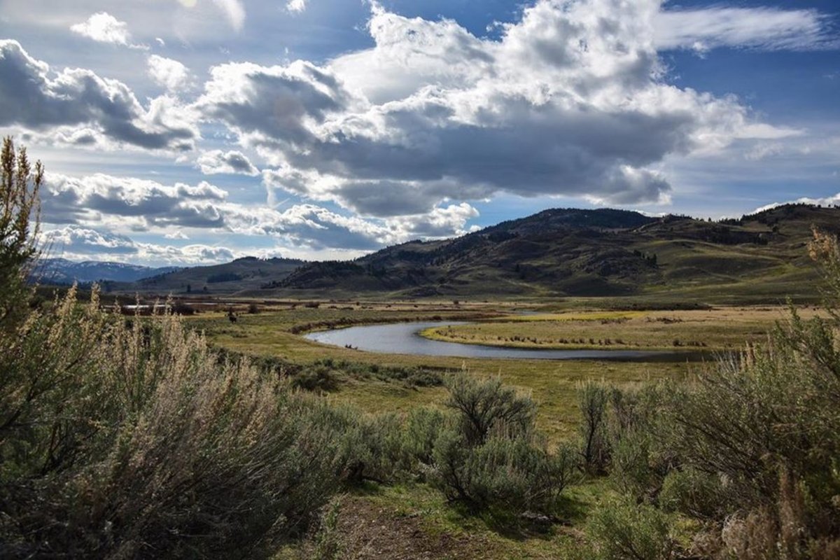 A lush green landscape with mountains in the back at Lamar Valley in the Yellowstone National Park.