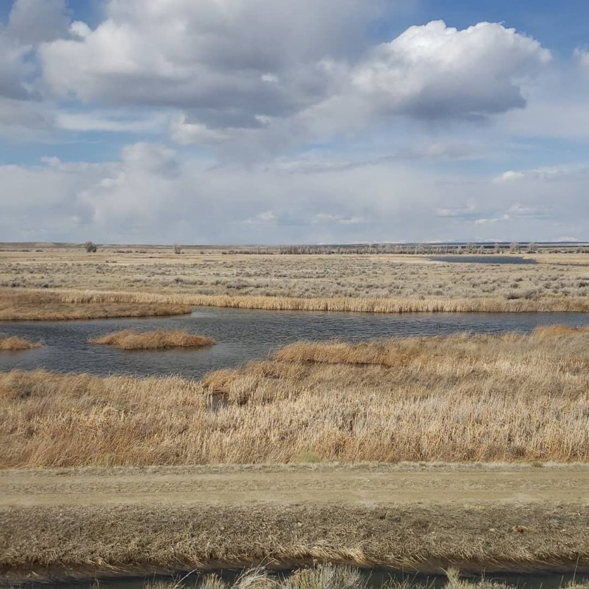 Water ways flowing through grassland at the Seedskadee National Wildlife Refuge in Wyoming 