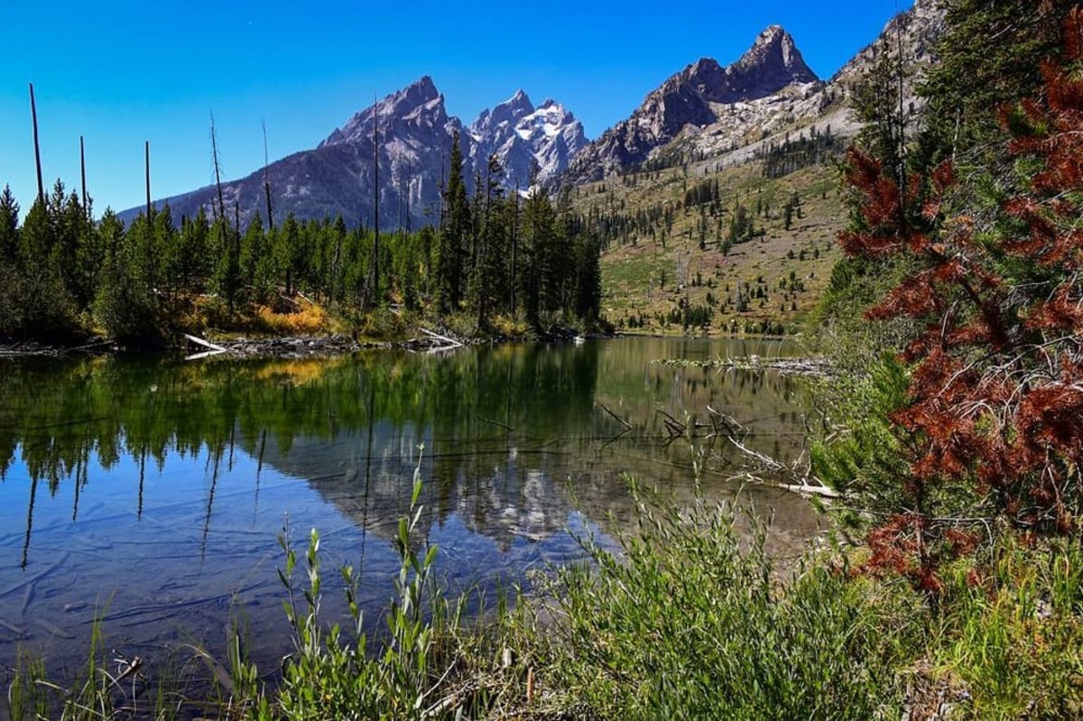 The warm and calm waters of String Lake, offering a lovely place to swim in Grand Teton National Park, WY.