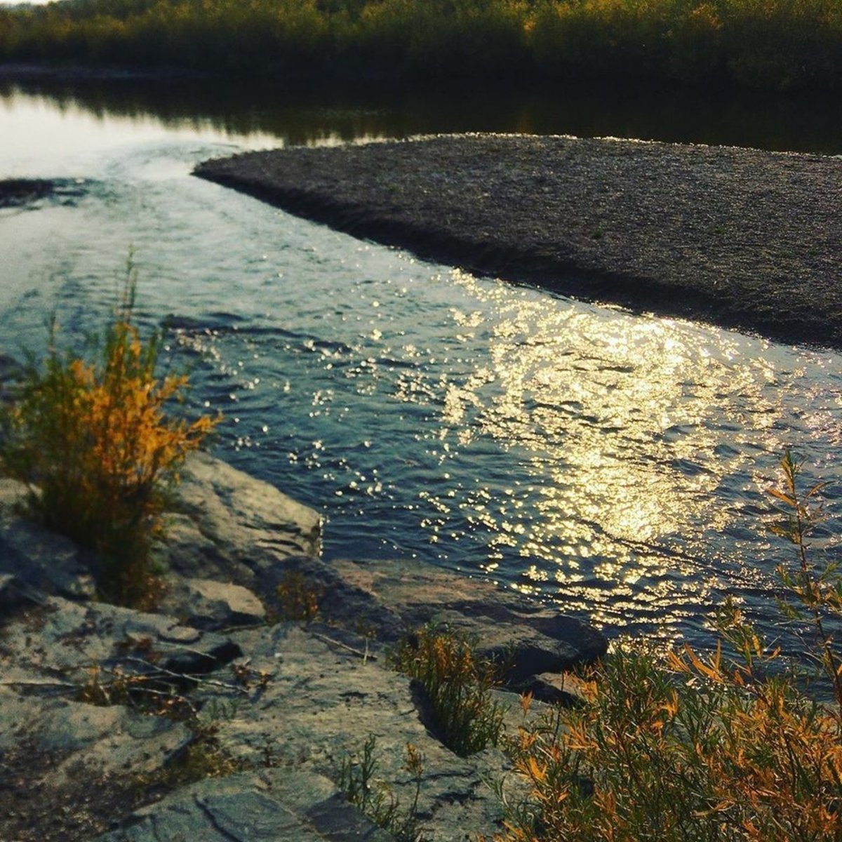 Laramie River Greenbelt