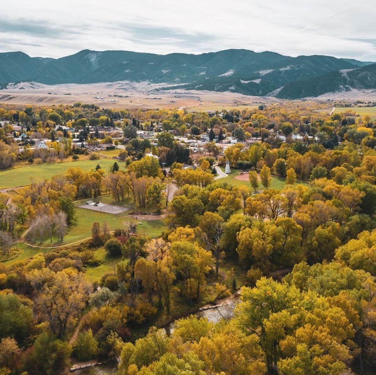 Polo and the Bighorn Mountains