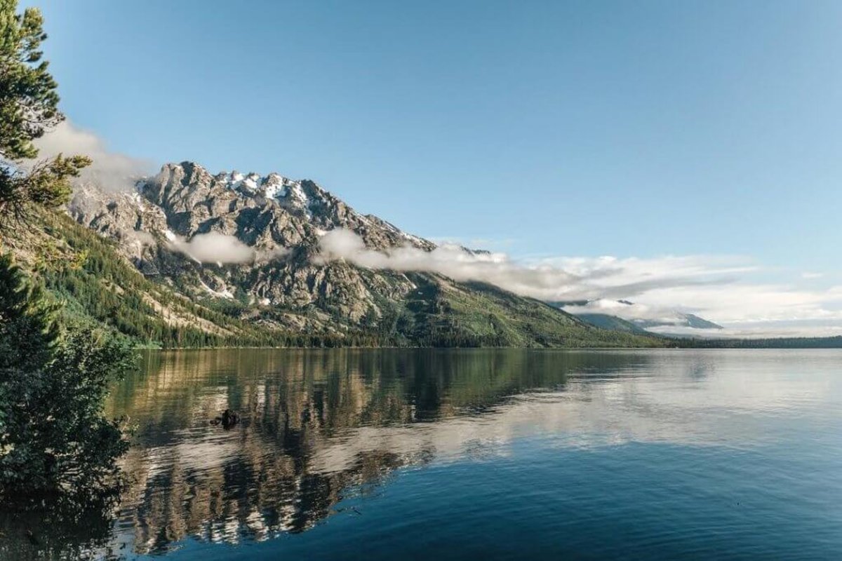 The Teton Range and a forest of trees circling around Jenny Lake at Grand Teton National Forest.