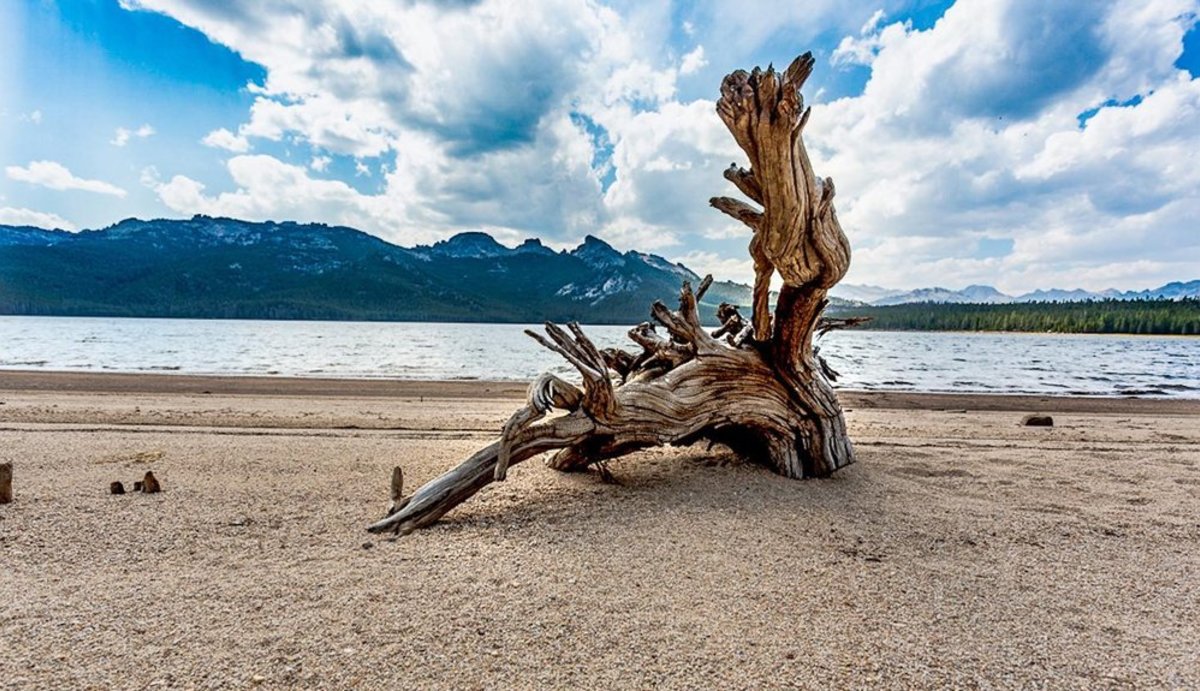 yellowstone hidden gems - Shoshone Geyser Basin
