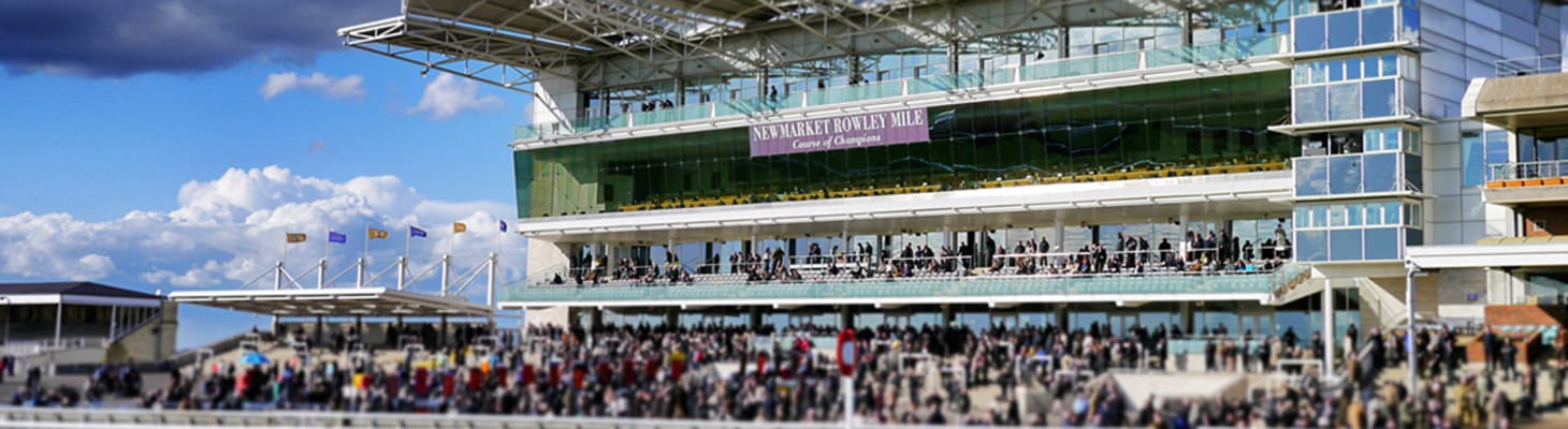 Wide angle shot of the main stand overlooking a horse racing event