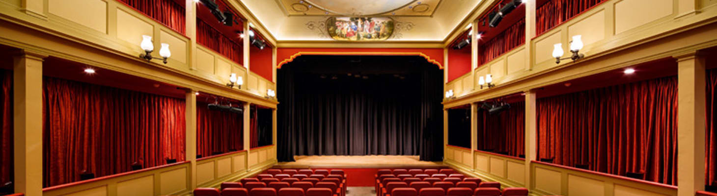 An impressive Georgian style tiered theatre with red curtains, gold pillars and ceiling making this a great conference venue.