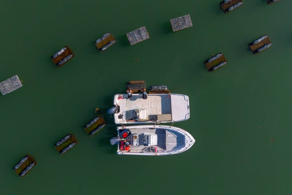 Boats at Oyster Farm. Photo Credit: Peter G. Morneau