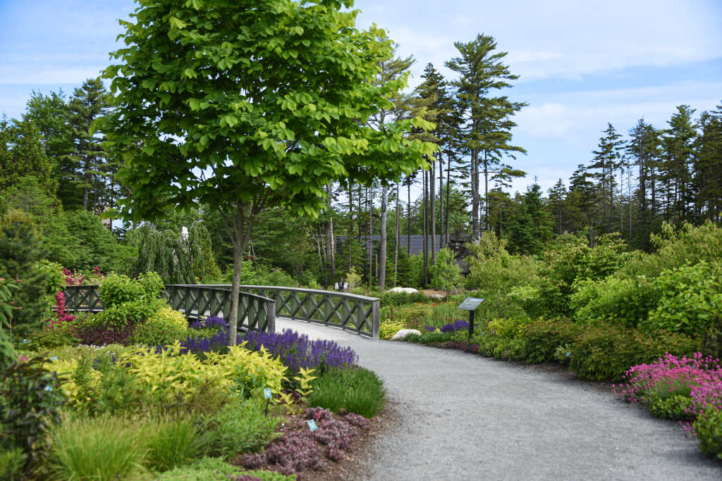 Trail. Photo Credit: Coastal Maine Botanical Gardens