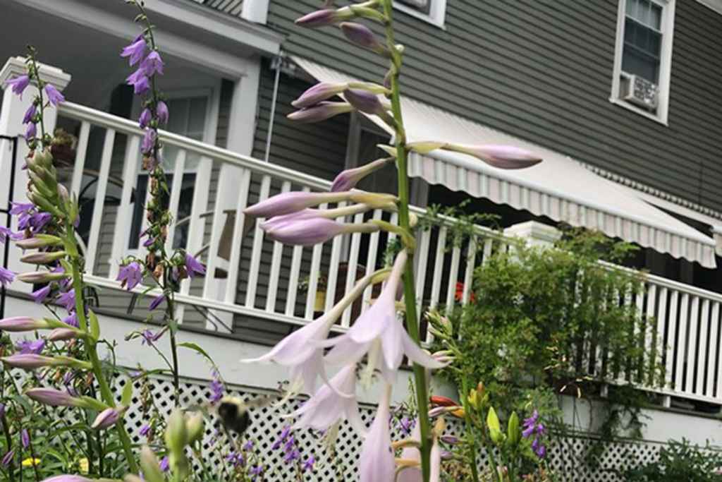 Exterior. Photo Credit: Fleetwood House Bed and Breakfast