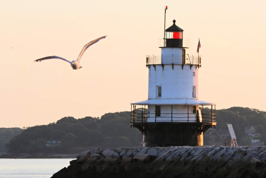 Spring Point Ledge Light. Photo Credit: Christina Napoli