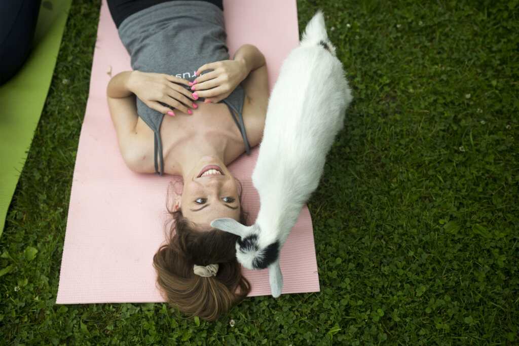 Goat Yoga. Photo Credit: Ashley Flowers Yoga