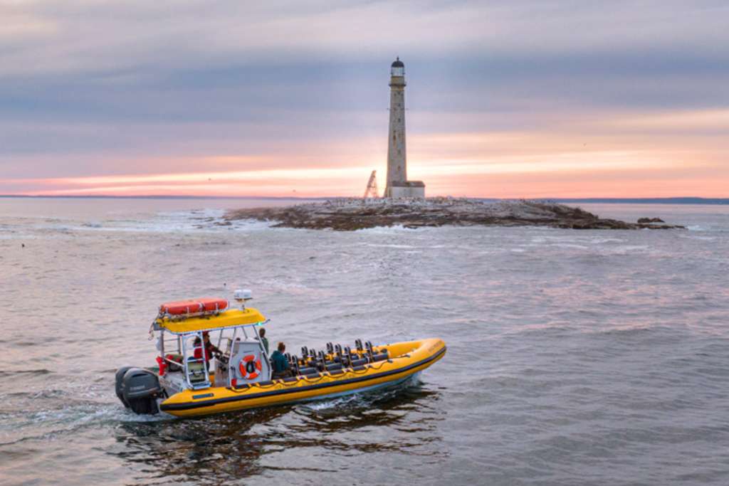 Boat by lighthouse. Photo Credit: New England Eco Adventures