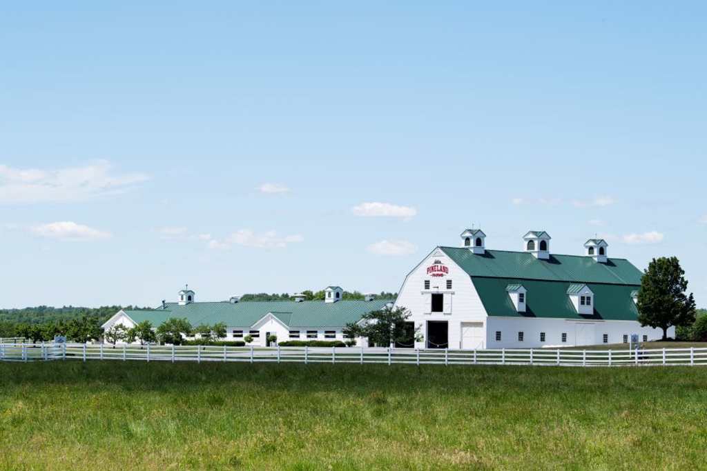 Pineland Farms. Photo Credit: Nicole Wolf