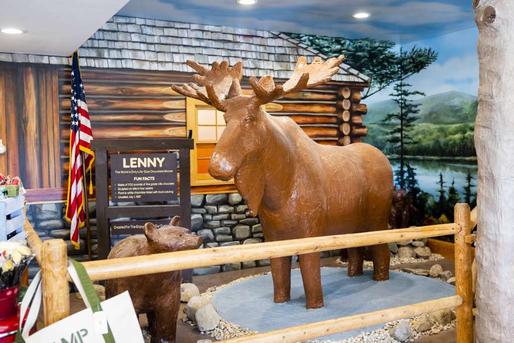 Lenny the Chocolate Moose. Photo Credit: Capshore Photography