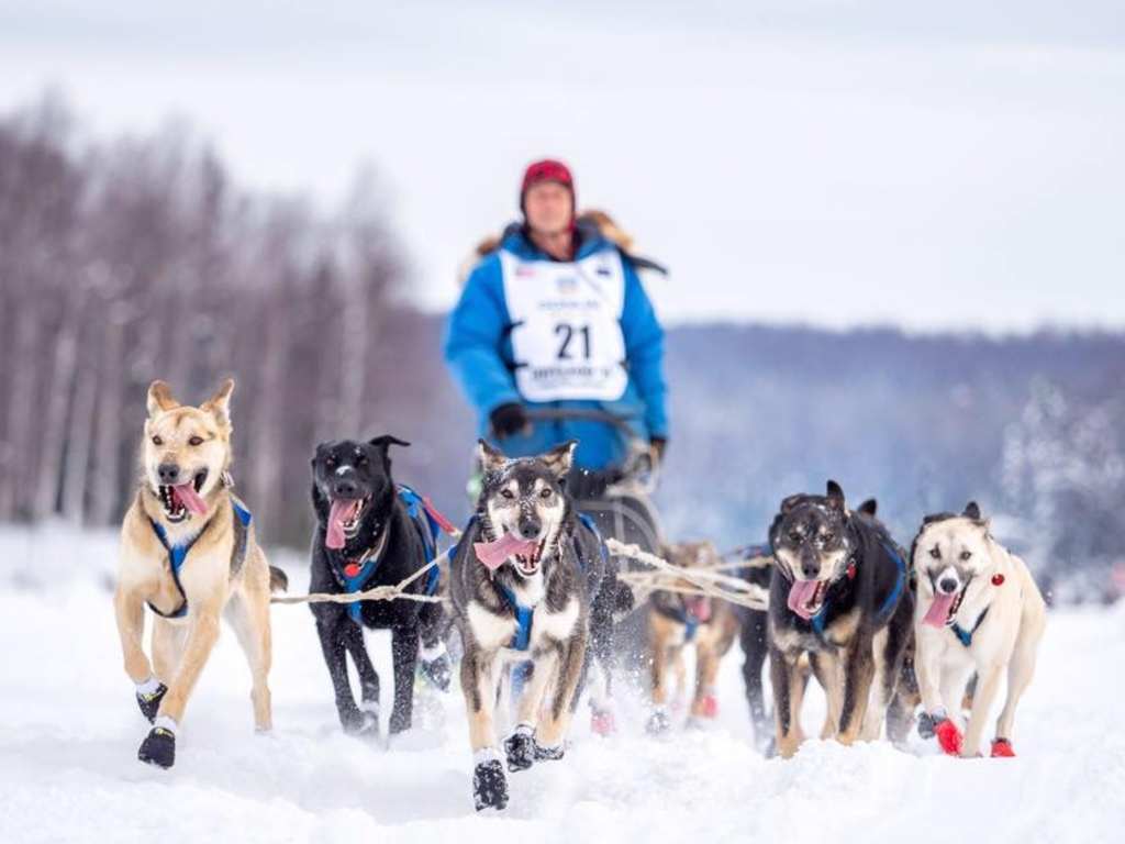 Martin Buser’s Happy Trails Kennel