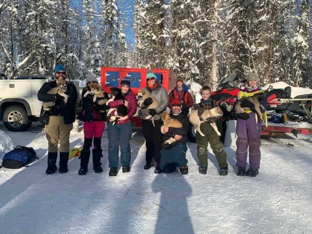 Rock On Racing Sled Dog Tours