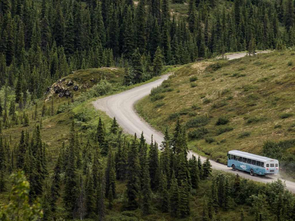 Denali Backcountry Adventure