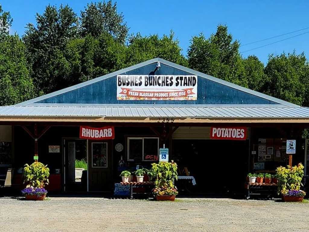 Bushes Bunches Stand