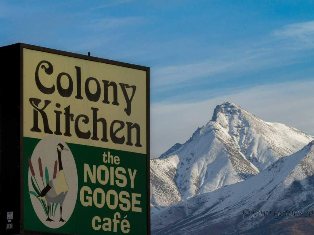 Colony Kitchen / Noisy Goose Cafe