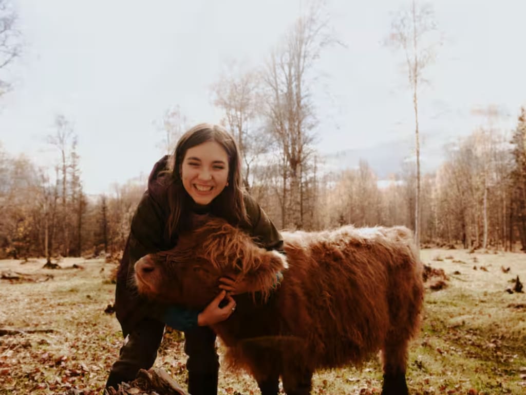 Alaska Highland Hugs