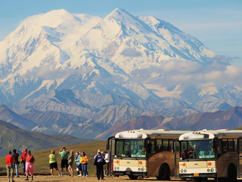 Denali Park Village