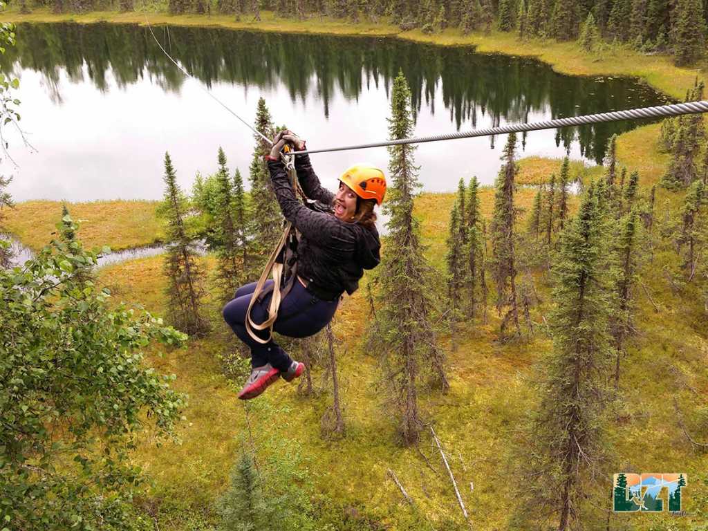 Denali Zipline Tours