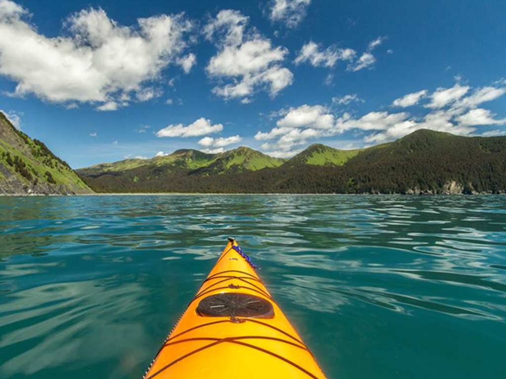 Discover Kodiak
