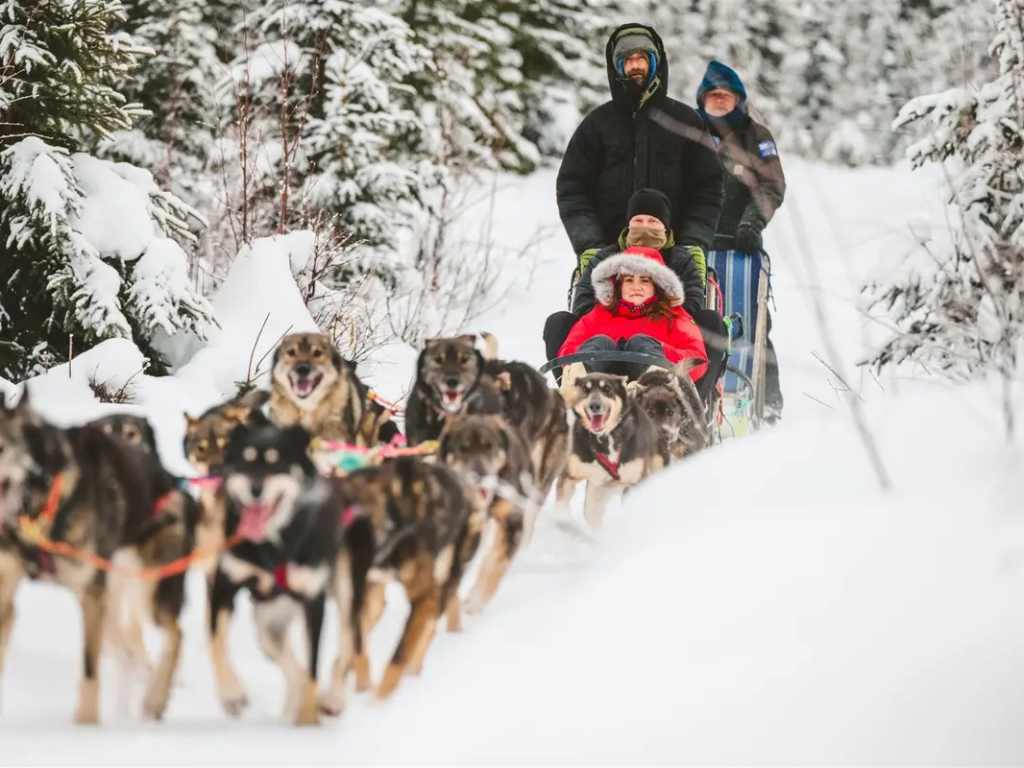 The Dogstead