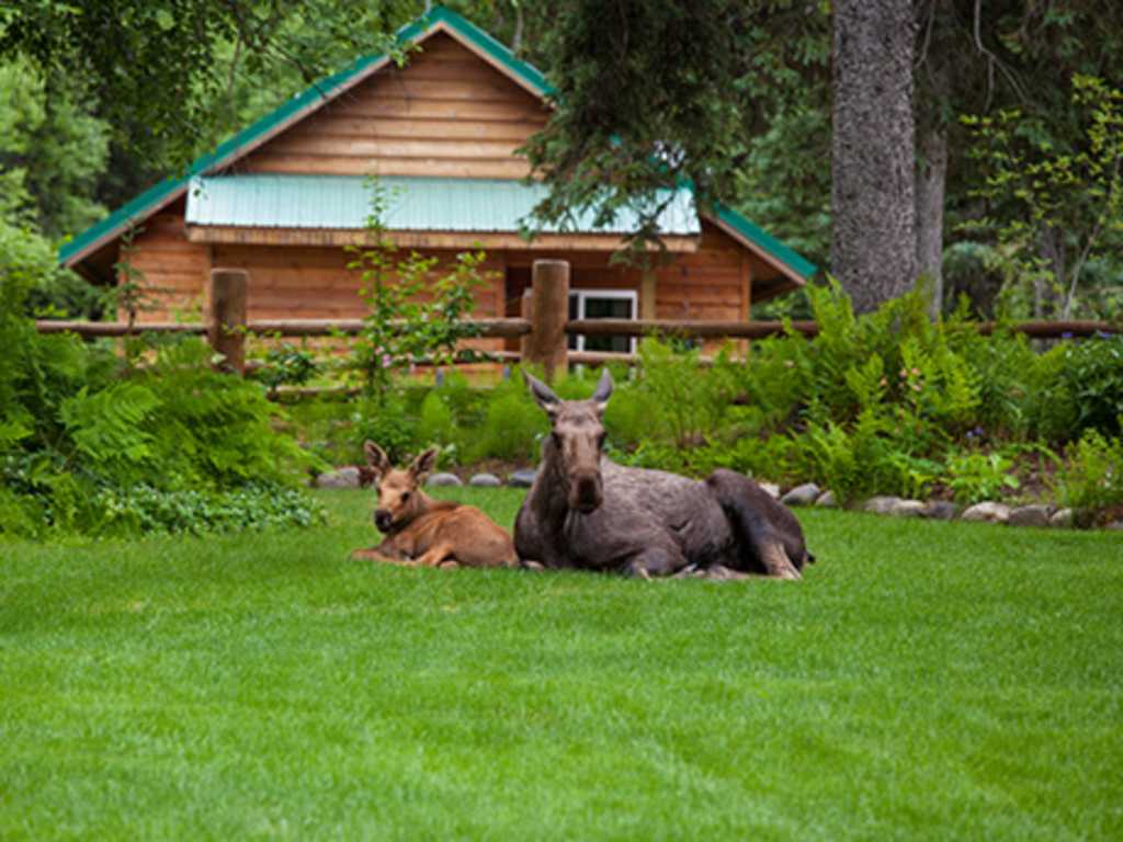 Gate Creek Lodge