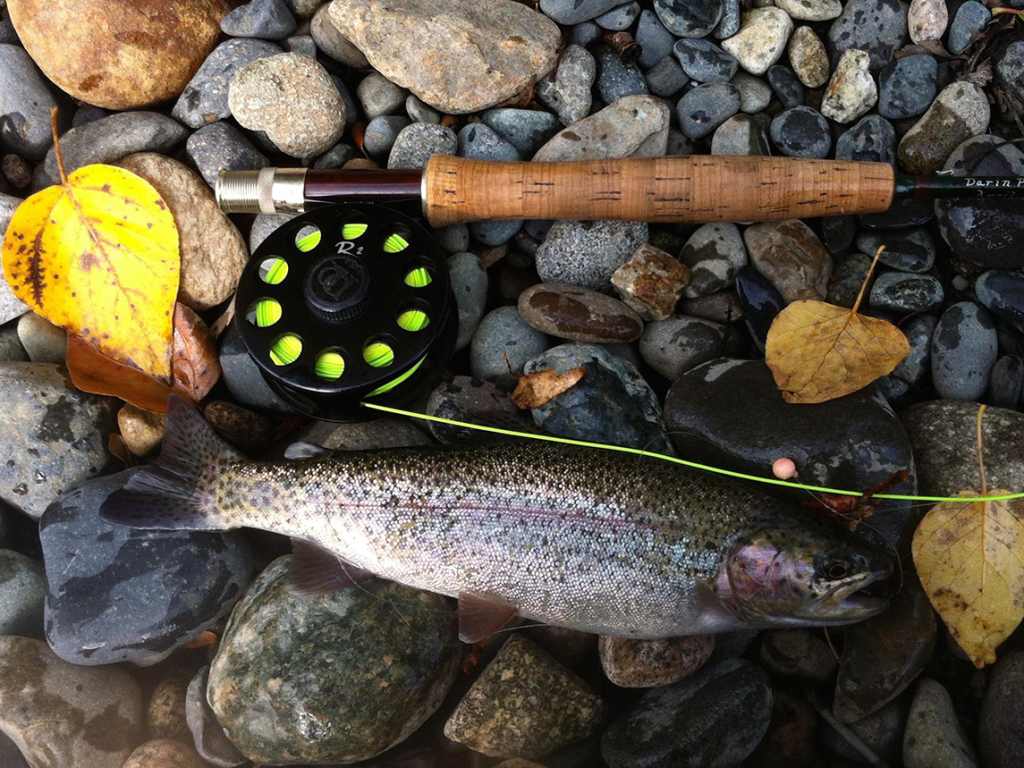Montana Creek Campground