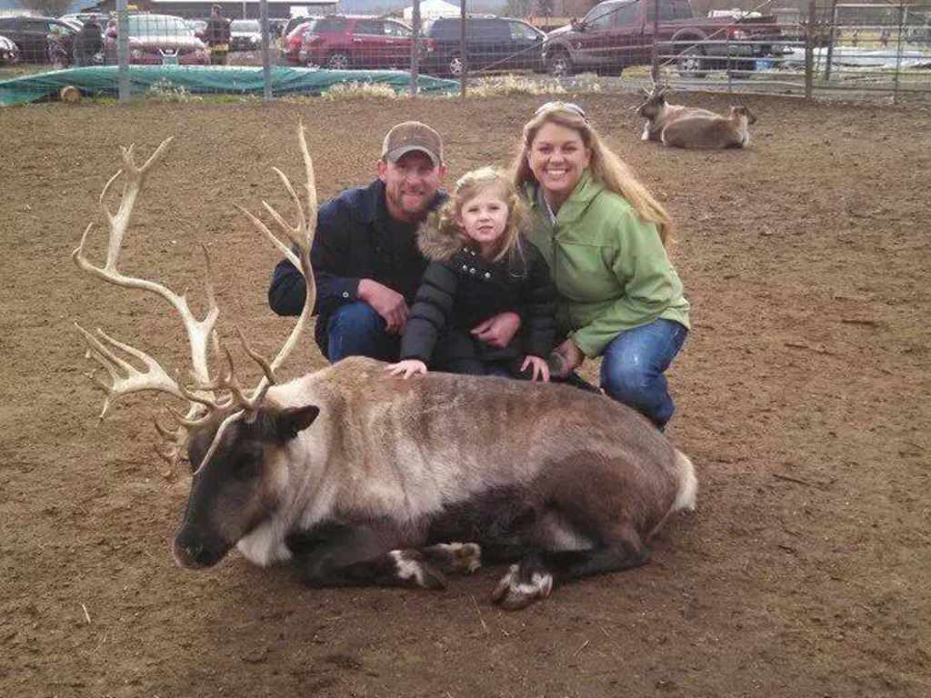Reindeer Farm