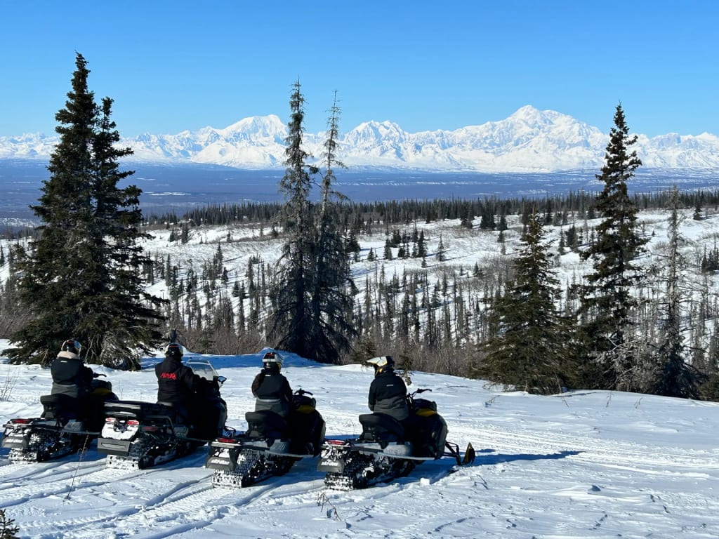 Wild Raven Tours