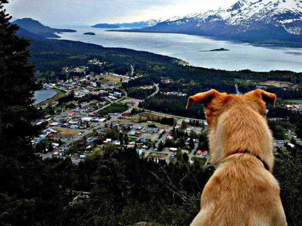 Haines Convention & Visitors Bureau