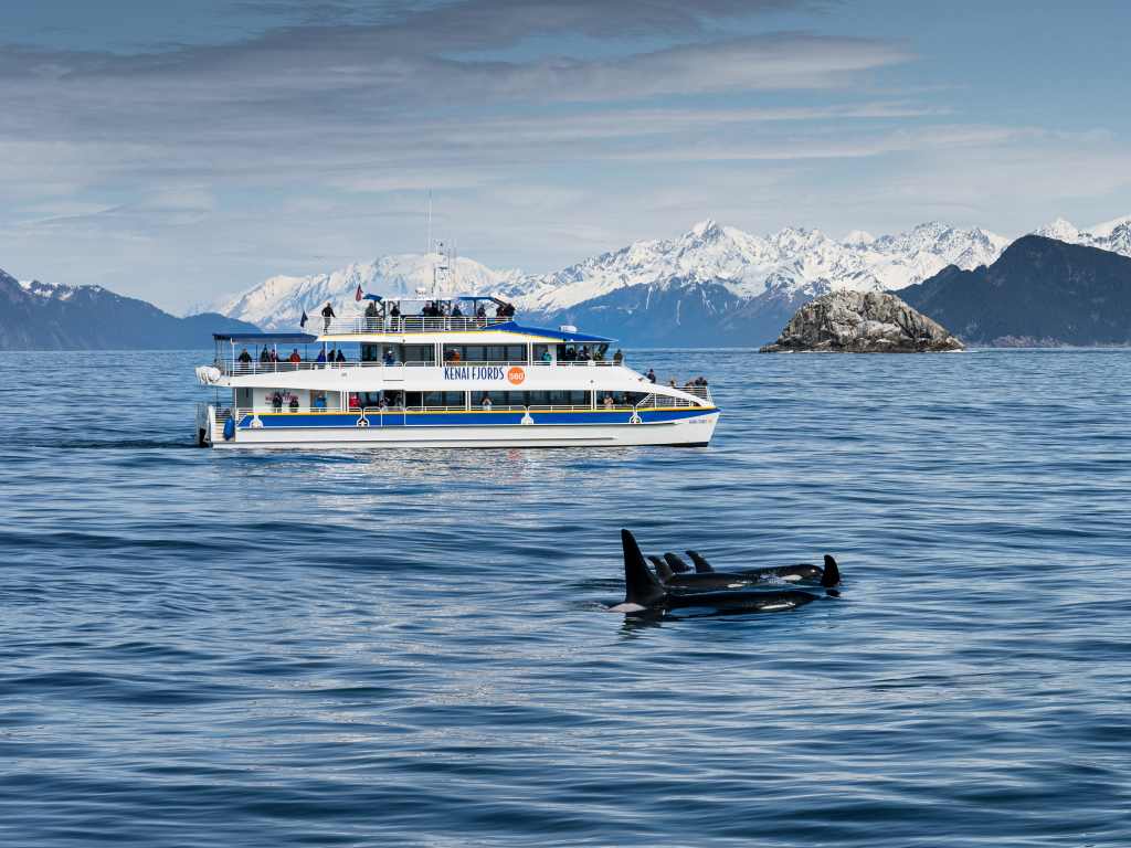 Major Marine Tours