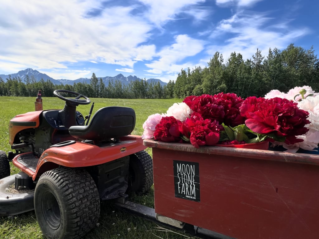 Moonstone Farm