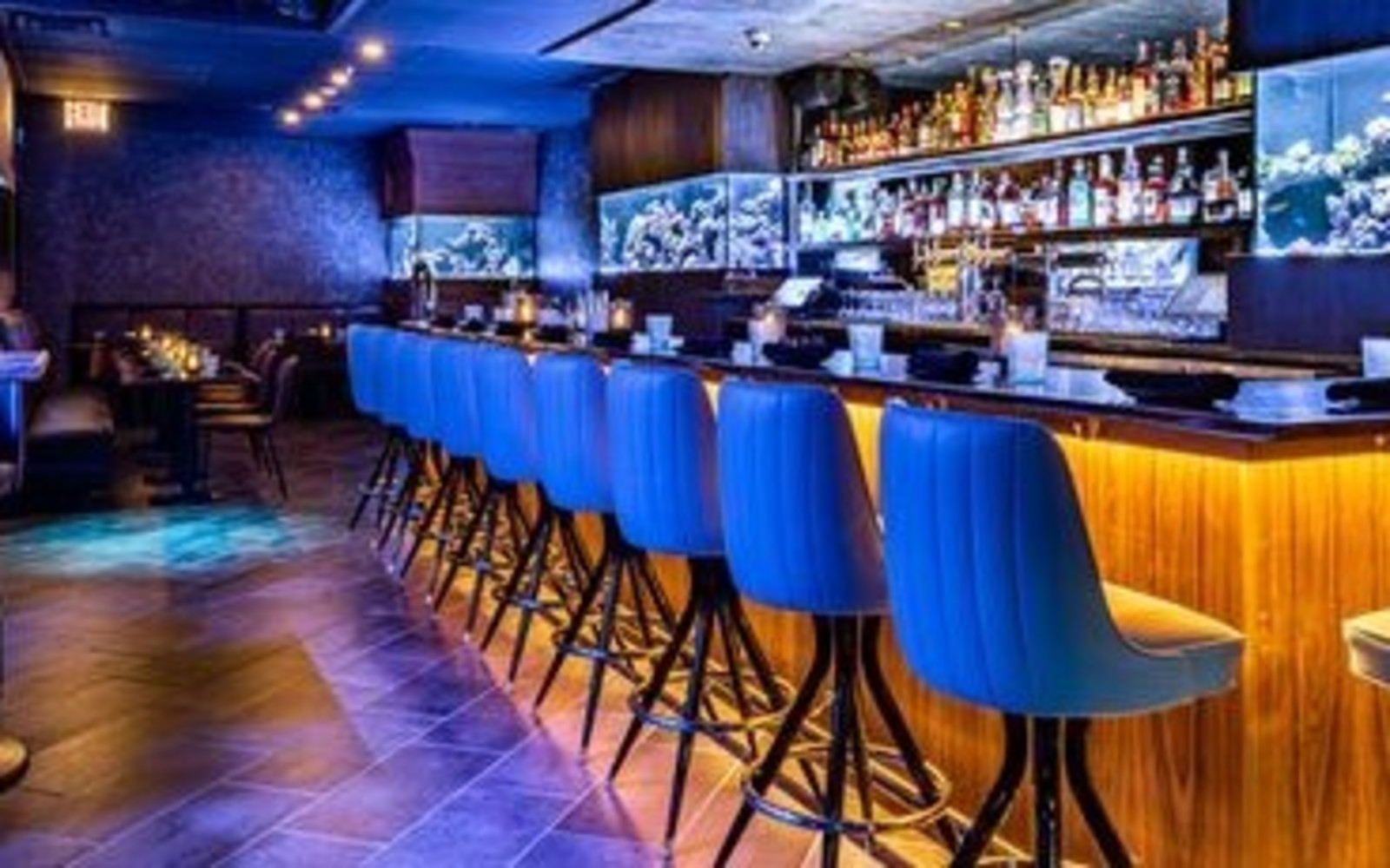 Lost Reef Lounge Choose Chicago