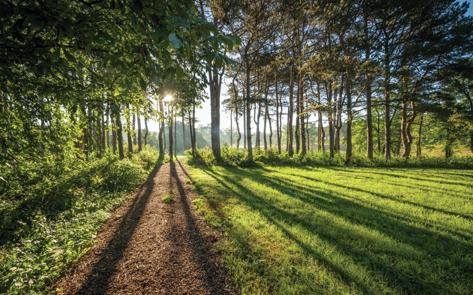 Discover DuPage County