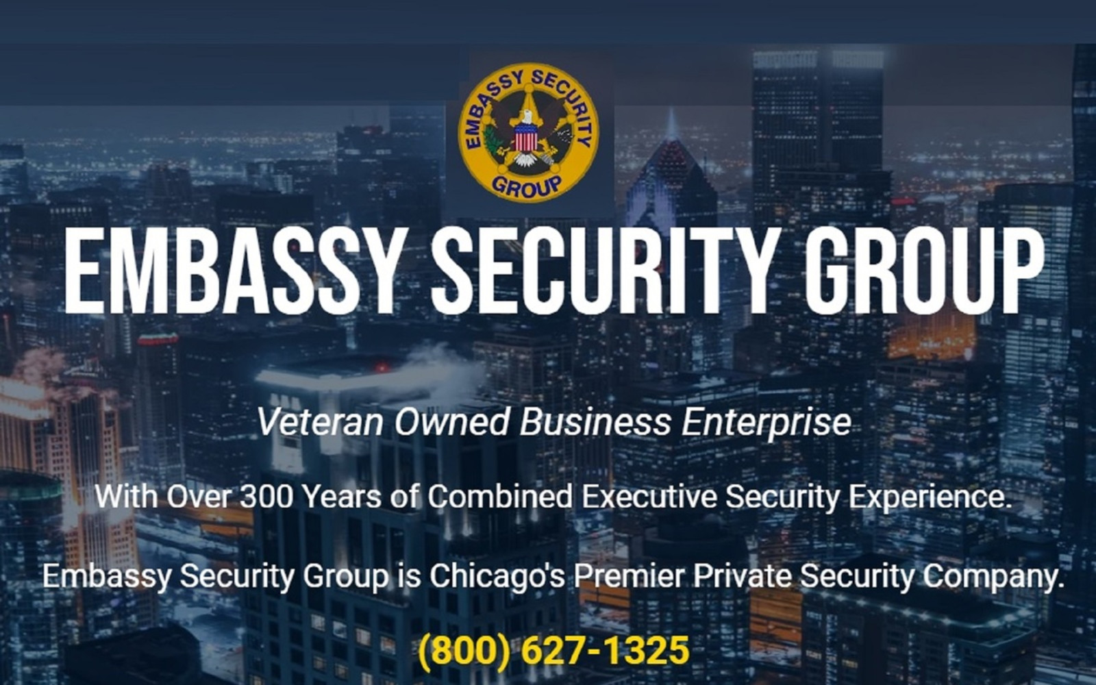 The Embassy Security Group