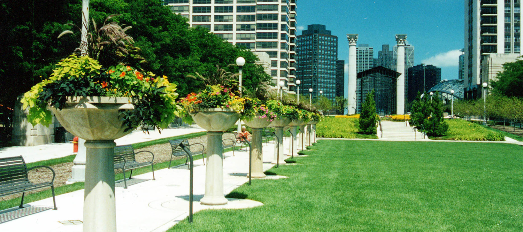 Cancer Survivor’s Garden